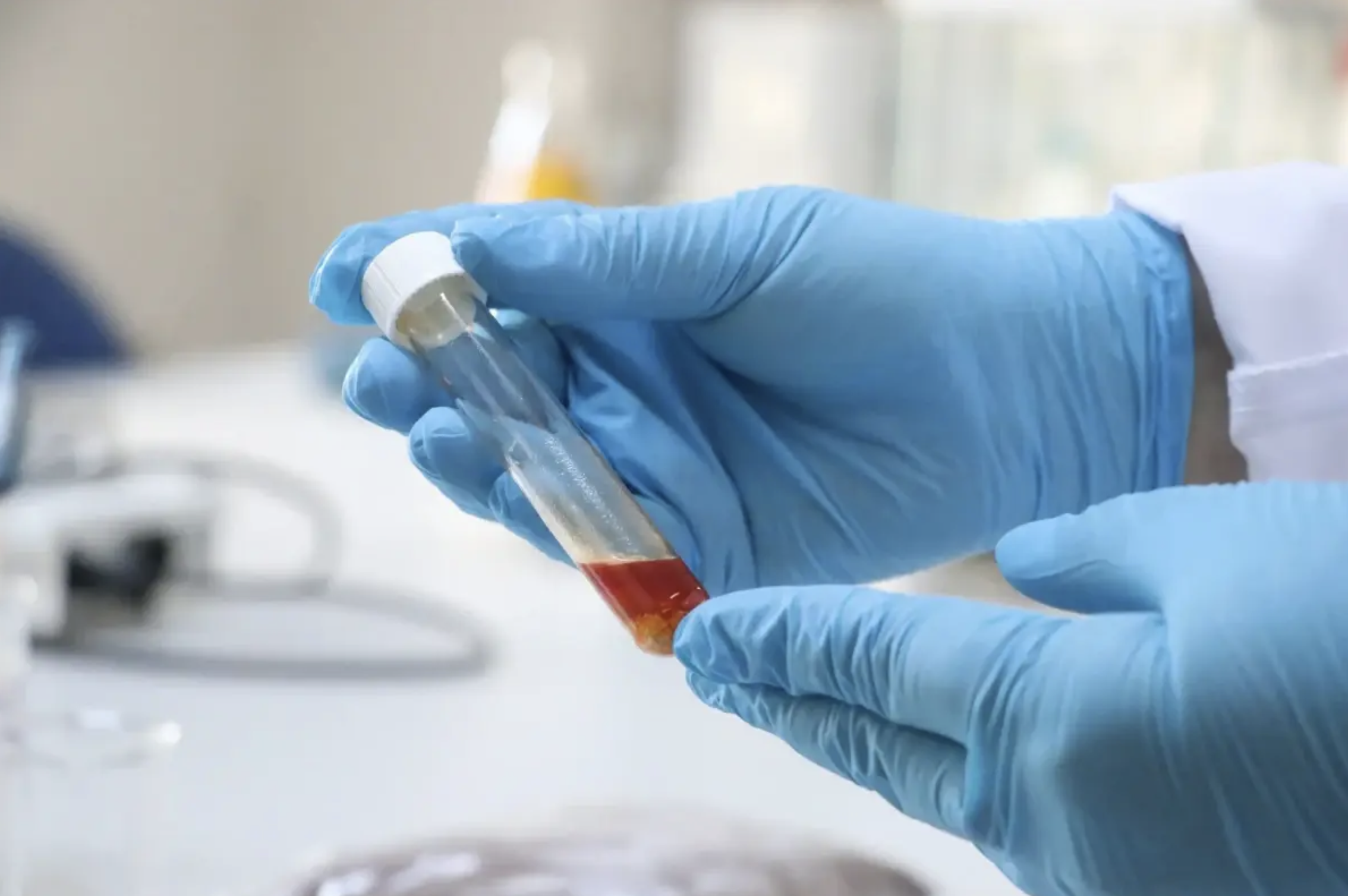 Namık Kemal Üniversitesi4